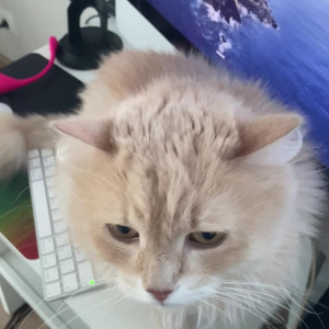 Video by kisankanna published on August 6,2023 01:47:00 - BestThots
