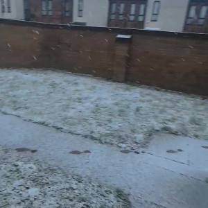 Video by charley2614_xox published on June 8,2023 09:26:00 - BestThots