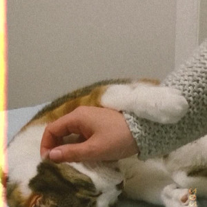 Video by lapetite published on April 10,2023 22:29:00 - BestThots