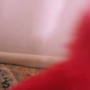 Video by clairecatsby published on March 20,2023 09:49:00 - BestThots