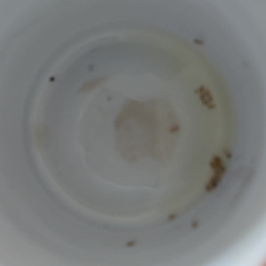 Video by garygoldenballs published on March 23,2023 02:04:00 - BestThots