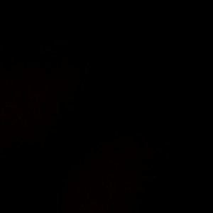 Video by magnoliahoneypot published on May 4,2023 08:02:00 - BestThots