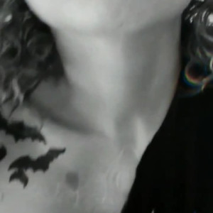 vanpsuicide #4557408