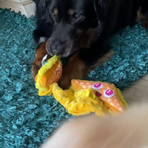 Video by maggiegreenlive published on August 2,2023 20:02:00 - BestThots