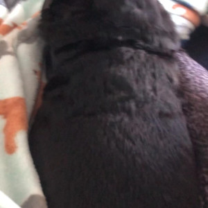 Video by maggiegreenlive published on August 21,2023 03:03:00 - BestThots