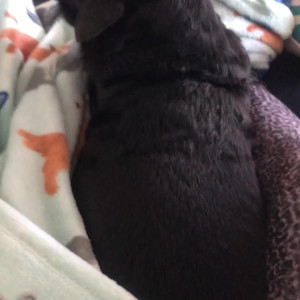 Video by maggiegreenlive published on April 10,2023 15:39:00 - BestThots