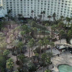 Video by maggiegreenlive published on July 31,2023 18:33:00 - BestThots