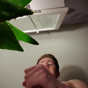 Video by c4770 published on August 22,2023 00:24:15 - BestThots