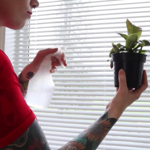 Video by goaskalex published on March 29,2023 14:25:00 - BestThots