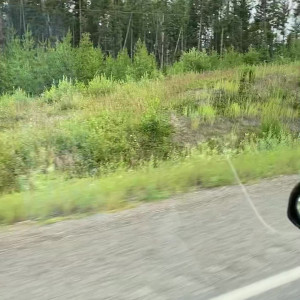 Video by goaskalex published on August 23,2023 13:34:00 - BestThots