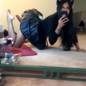 bengalivixen #5639100