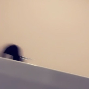 Video by waifufeetmilk published on July 2,2023 15:16:00 - BestThots