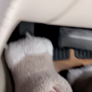waifufeetmilk #5076267