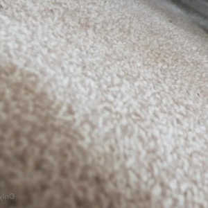 Video by realtobydick published on June 26,2023 12:16:00 - BestThots