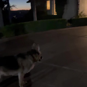 Video by jewels_jade_vip published on August 22,2023 01:18:23 - BestThots
