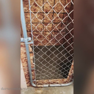 Video by maeibeyoursub published on May 28,2023 12:31:00 - BestThots