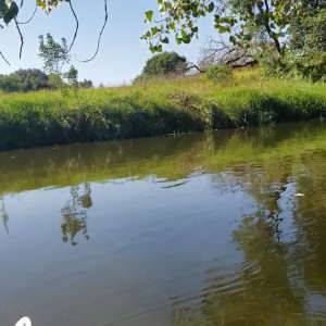 Video by pageofscrolls published on March 20,2023 07:35:00 - BestThots