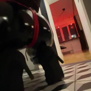 Video by baby_yona published on April 18,2023 14:42:00 - BestThots