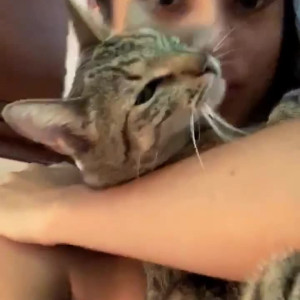 Video by kathycr published on April 14,2023 10:15:00 - BestThots