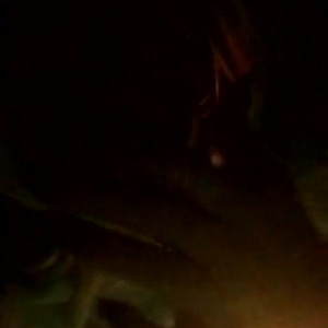 Video by shannonc942 published on June 18,2023 21:37:00 - BestThots