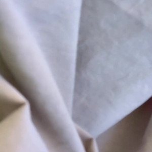 Video by futanari_fc2 published on May 30,2023 10:12:00 - BestThots