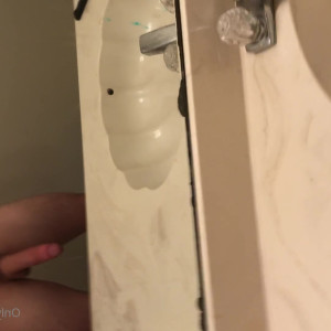 Video by blessed213 published on June 25,2023 20:24:00 - BestThots