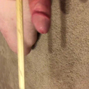 Video by blessed213 published on April 28,2023 02:24:00 - BestThots