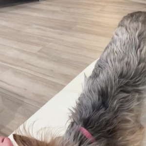 Video by avasinclaire published on May 4,2023 03:29:00 - BestThots