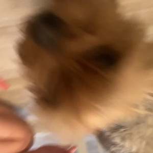 Video by avasinclaire published on May 7,2023 14:59:00 - BestThots