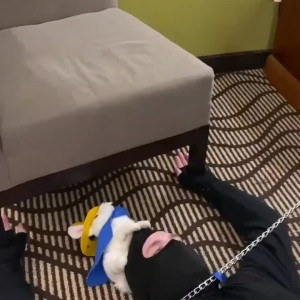 Video by xenon.the.model published on August 22,2023 07:06:54 - BestThots