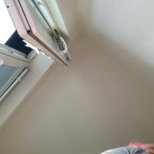 Video by tsunderebean published on April 22,2023 00:56:00 - BestThots