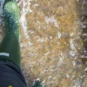 Video by shannonhuxley published on August 22,2023 07:28:25 - BestThots
