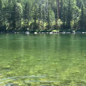 thumbelinavina #5749633