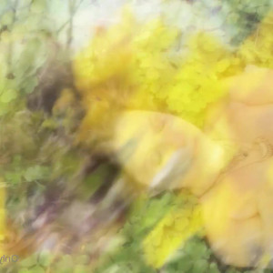 Video by iarasteffens published on May 7,2023 22:47:00 - BestThots