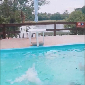 Video by iarasteffens published on June 23,2023 14:04:00 - BestThots