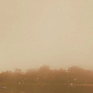 Video by iarasteffens published on May 18,2023 19:24:00 - BestThots