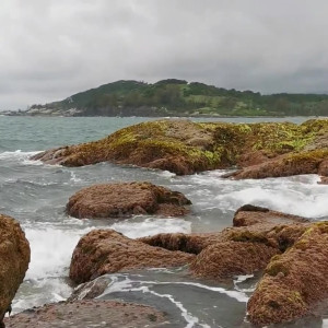 Video by iarasteffens published on May 26,2023 13:01:00 - BestThots