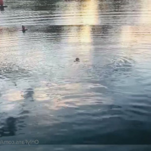 Video by iarasteffens published on March 15,2023 07:57:00 - BestThots