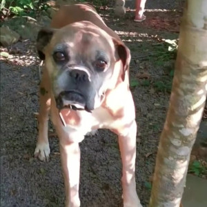 Video by iarasteffens published on May 5,2023 01:03:00 - BestThots