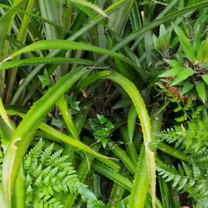 Video by iarasteffens published on April 14,2023 17:16:00 - BestThots