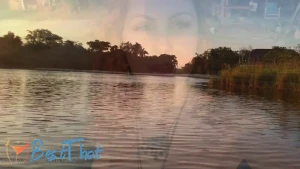 iarasteffens #9750308