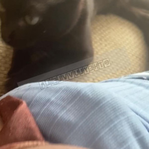 Video by theyluvvleila published on May 18,2023 20:10:00 - BestThots