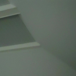 Video by sadieholmes published on August 19,2023 04:12:00 - BestThots