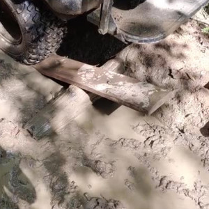 sadieholmes #5000074