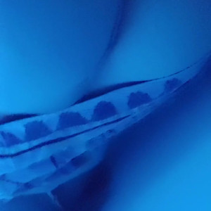 sadieholmes #5027739