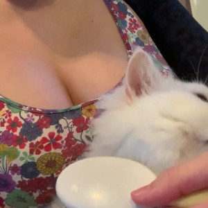 Video by nagaimaria published on June 2,2023 17:00:00 - BestThots
