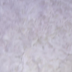 Video by alittlezoey published on May 4,2023 07:19:00 - BestThots