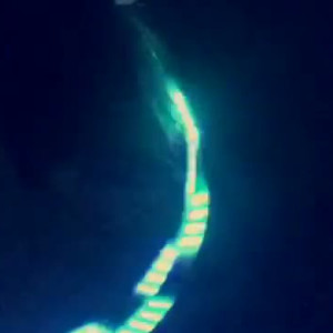 Video by chroniclove69 published on March 12,2023 09:45:00 - BestThots