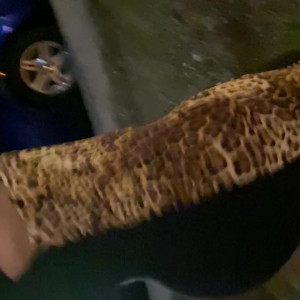 Video by rifkazorean published on April 10,2023 22:23:00 - BestThots