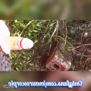 Video by mundogay88 published on March 25,2023 15:12:00 - BestThots
